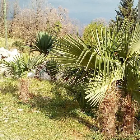 Susanj Opatija